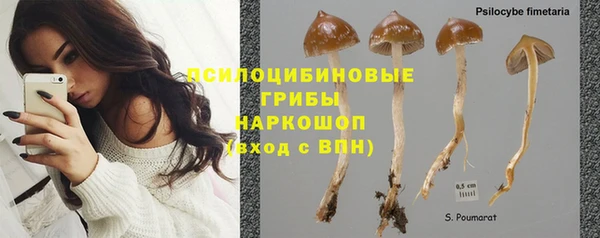 ешки Белокуриха