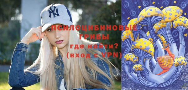 ешки Белокуриха
