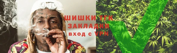 ешки Белокуриха