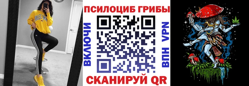 как найти закладки  Нариманов  Псилоцибиновые грибы мухоморы 